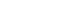 aliado-pineapple-support